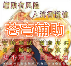 <font color='FFFF03'>幻兽帕鲁苍穹辅助</font>